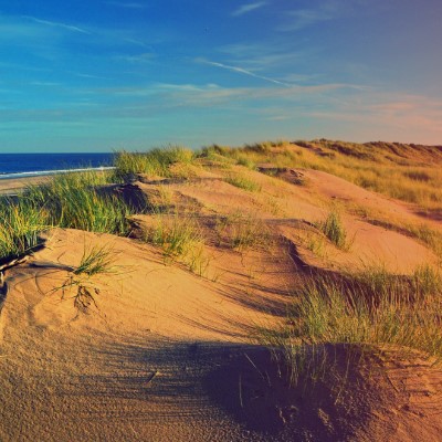 1920 x 1080 HD Wallpapers 232